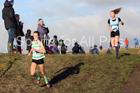 Girls under-13s North Eastern Cross Country, 2018 Northern Cross Country Champs., Wrekenton, Gateshead. Photo:  David T. Hewitson/Sports for All Pics